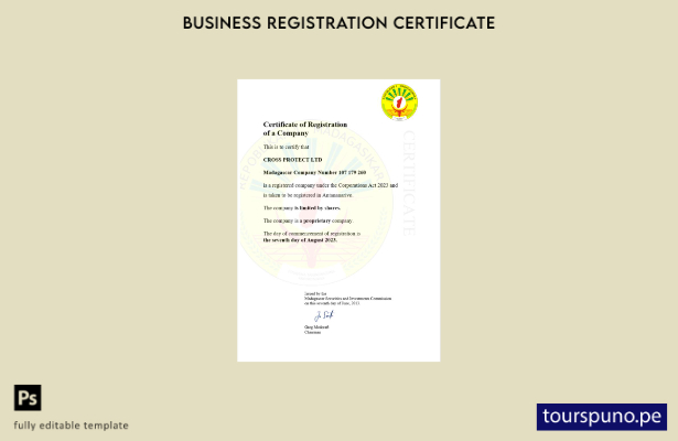 listo para imprimir Certificado de registro comercial de Madagascar Plantilla de